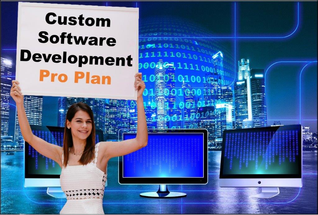 custom software development agency in Phoenix Arizona