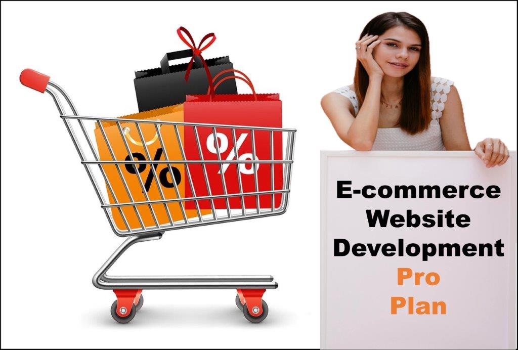 professional ecommerce website development agency in Phoenix Arizona