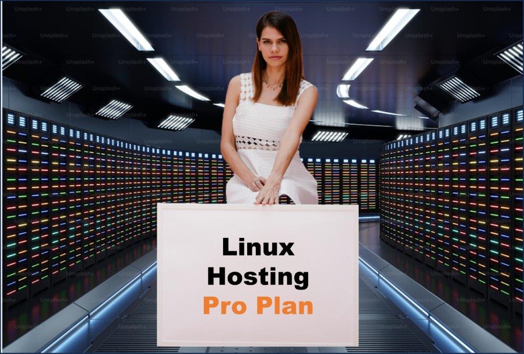 linux hosting windows hosting provider in Phoenix Arizona