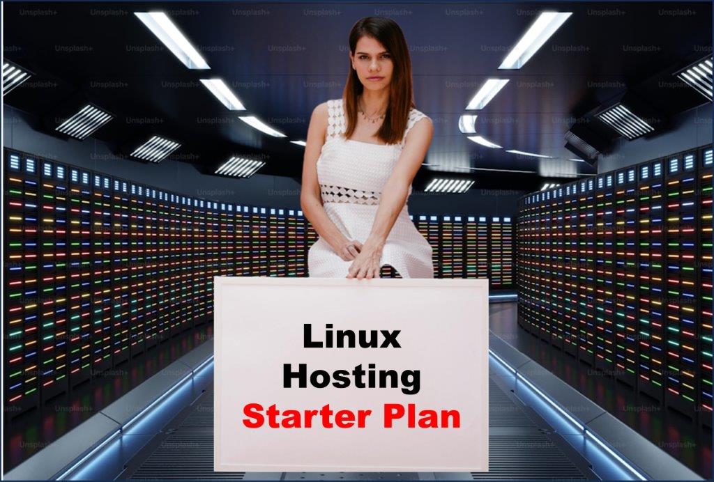 Website Hosting in Phoenix Arizona