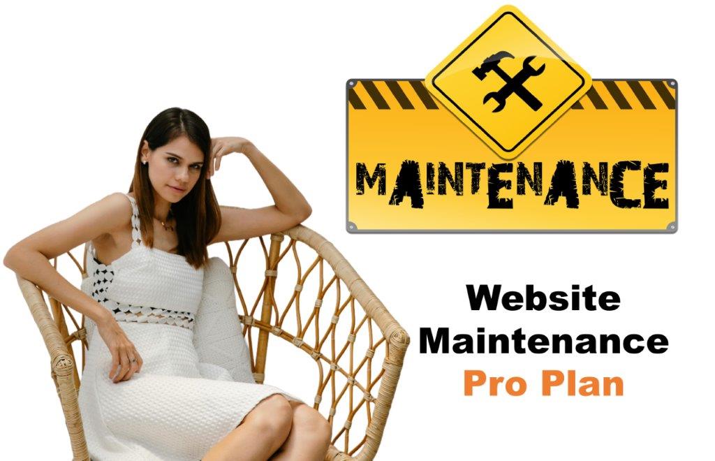 website maintenance agency in Phoenix Arizona