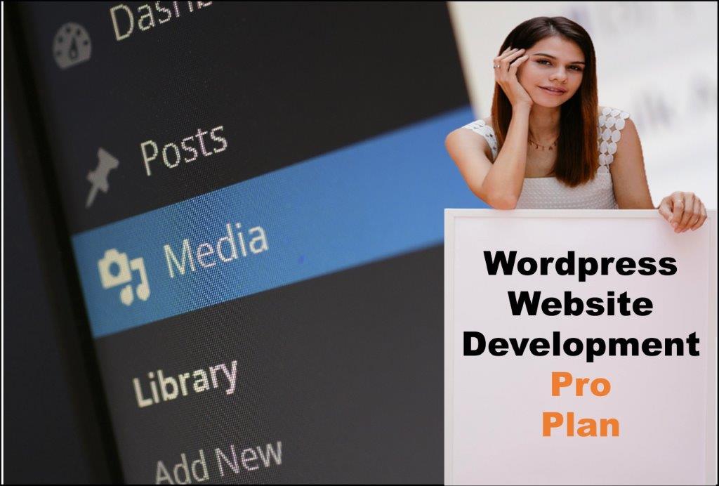 wordpress website designing in Phoenix Arizona